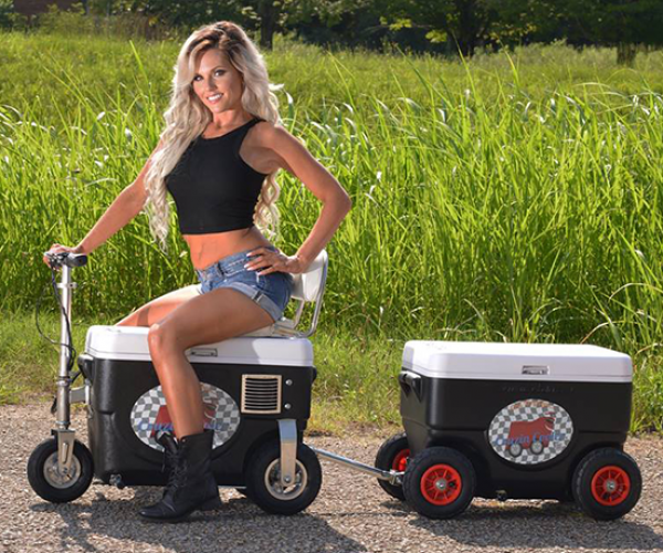 Electric Scooter Cooler